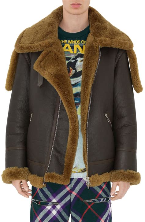 burberry aviator jacket otter